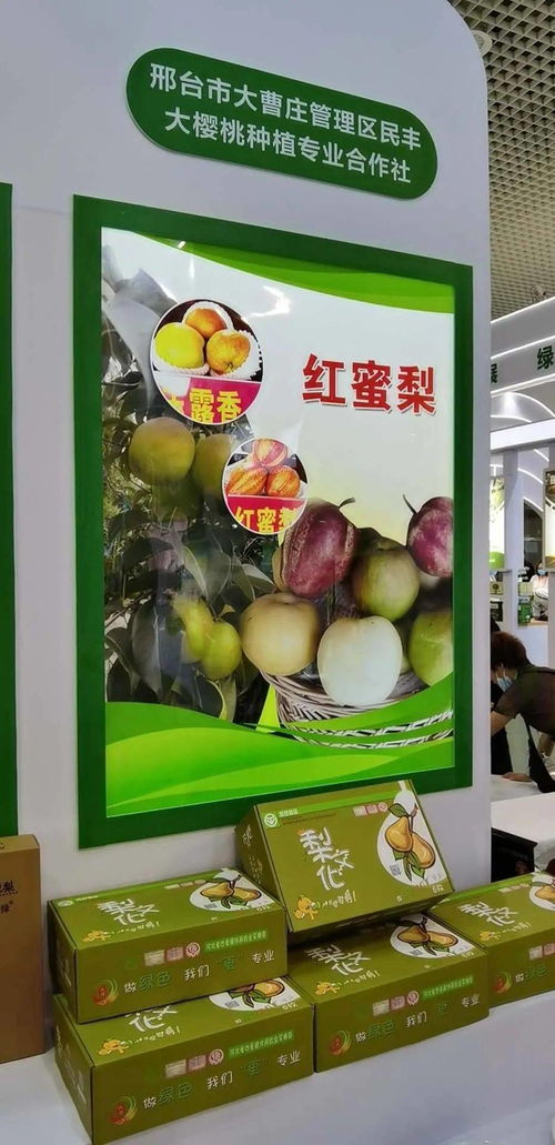 寧晉綠色農產品在廈門綠博會廣受歡迎，水產品零售表現搶眼